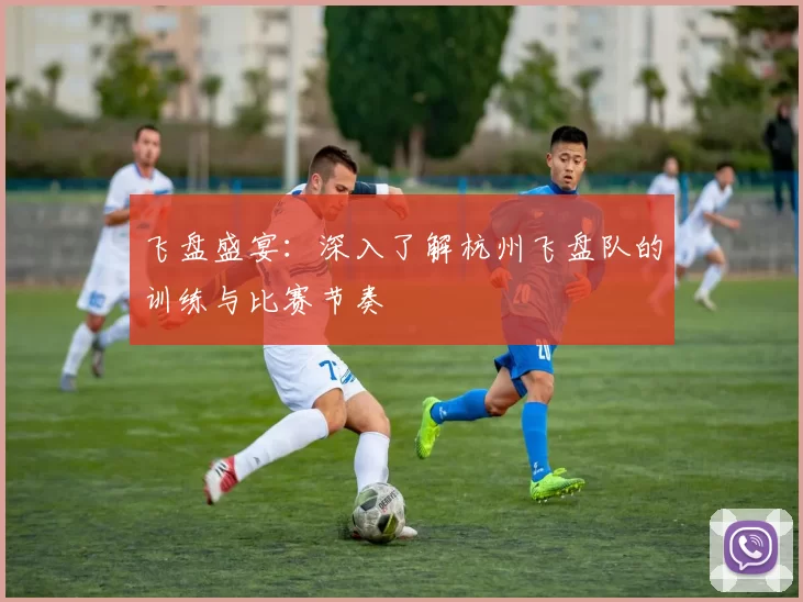 飞盘盛宴：深入了解杭州飞盘队的训练与比赛节奏