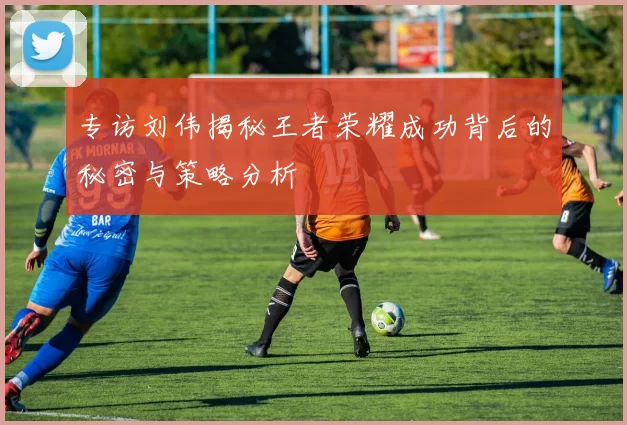 专访刘伟揭秘王者荣耀成功背后的秘密与策略分析