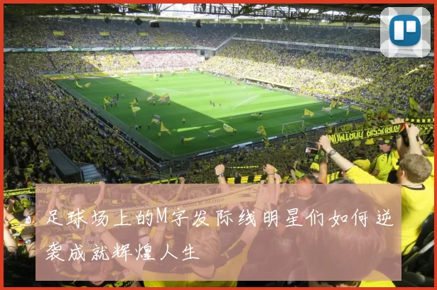 足球场上的M字发际线明星们如何逆袭成就辉煌人生