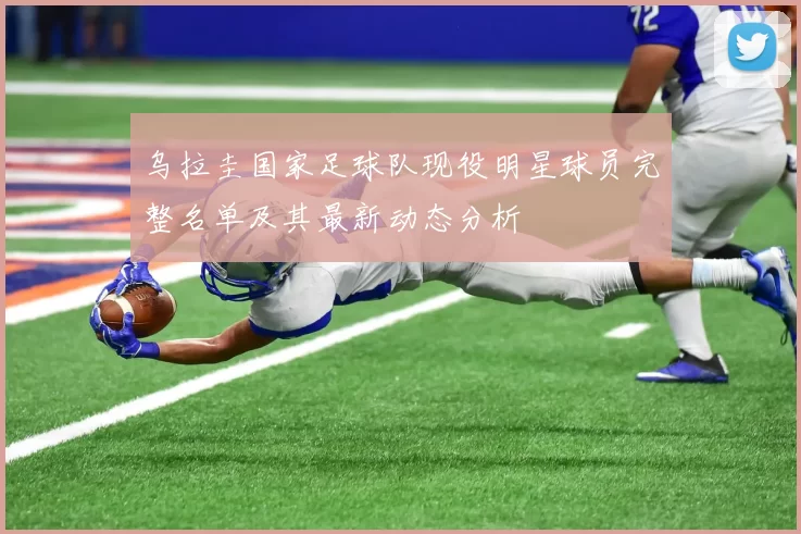 乌拉圭国家足球队现役明星球员完整名单及其最新动态分析