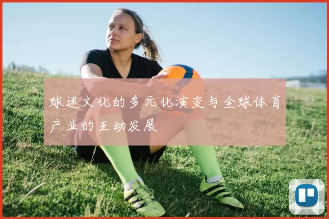 球迷文化的多元化演变与全球体育产业的互动发展
