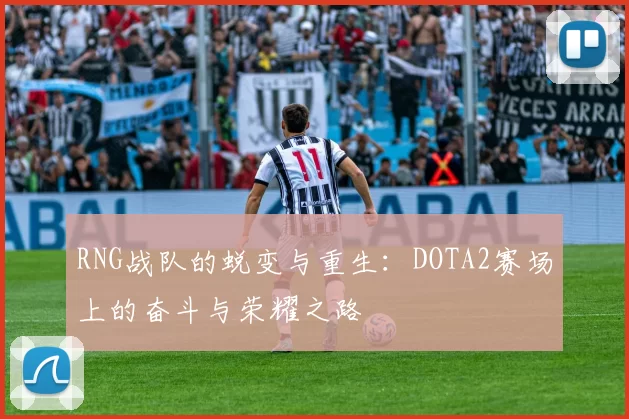 RNG战队的蜕变与重生：DOTA2赛场上的奋斗与荣耀之路