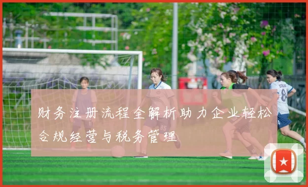 财务注册流程全解析助力企业轻松合规经营与税务管理