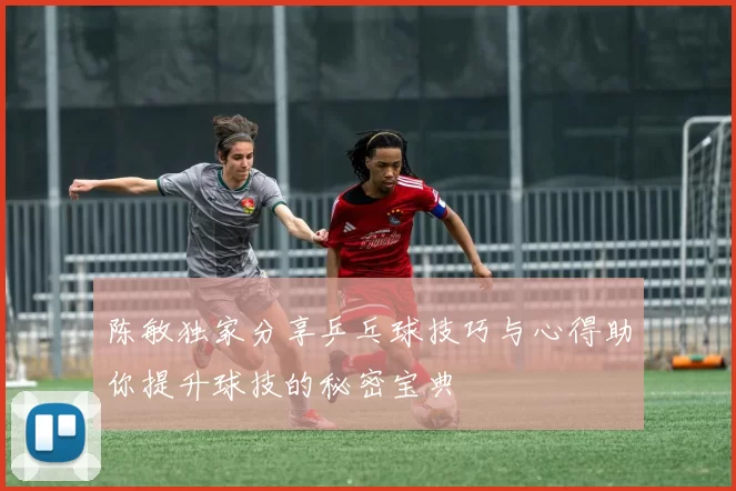 陈敏独家分享乒乓球技巧与心得助你提升球技的秘密宝典