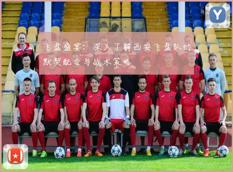 飞盘盛宴：深入了解西安飞盘队的默契配合与战术策略