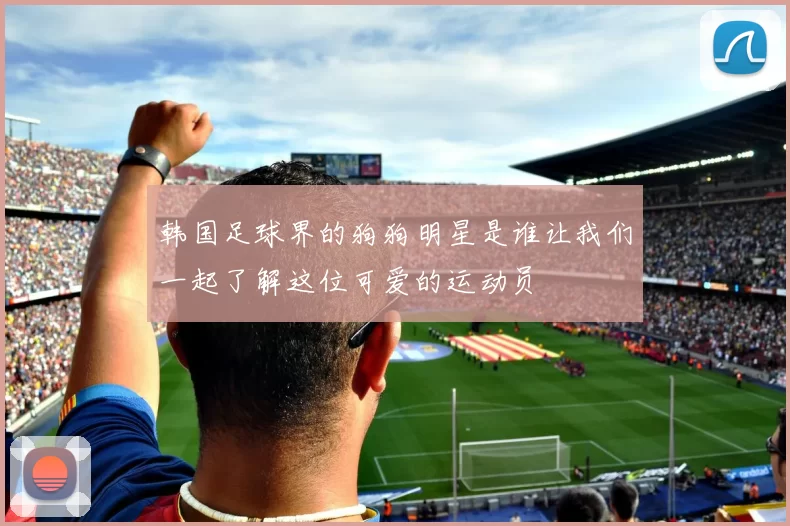 韩国足球界的狗狗明星是谁让我们一起了解这位可爱的运动员