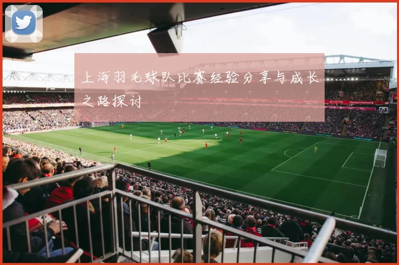 上海羽毛球队比赛经验分享与成长之路探讨