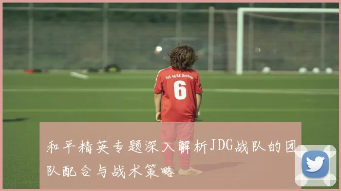 和平精英专题深入解析JDG战队的团队配合与战术策略
